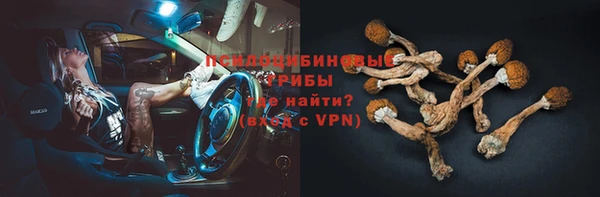 ECSTASY Володарск
