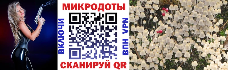 Купить закладки  Могоча  Галлюциногенные грибы мухоморы 