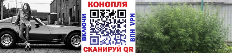 Канабис ГИДРОПОН Могоча